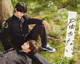 最新上架海报剧照