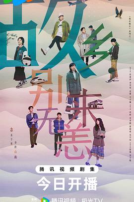 极品少妇居家海报剧照